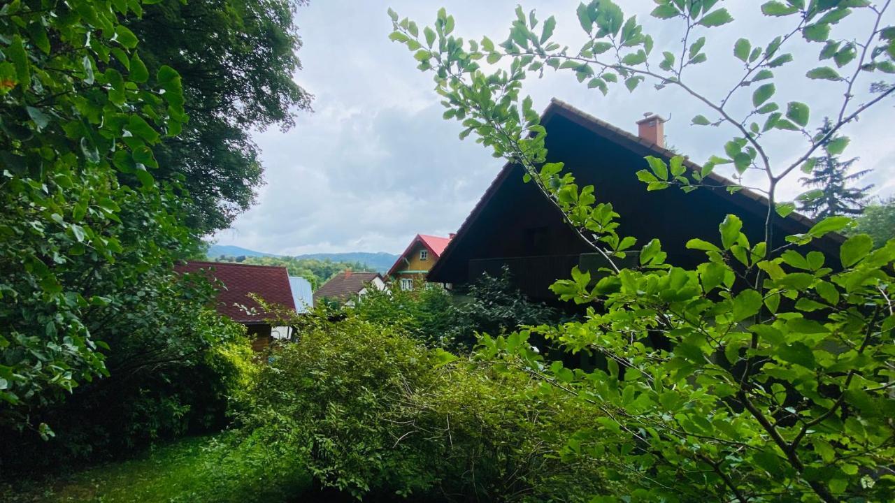 Villa Dom Puchacza W Ladku-Zdroju Lądek-Zdrój Exterior foto