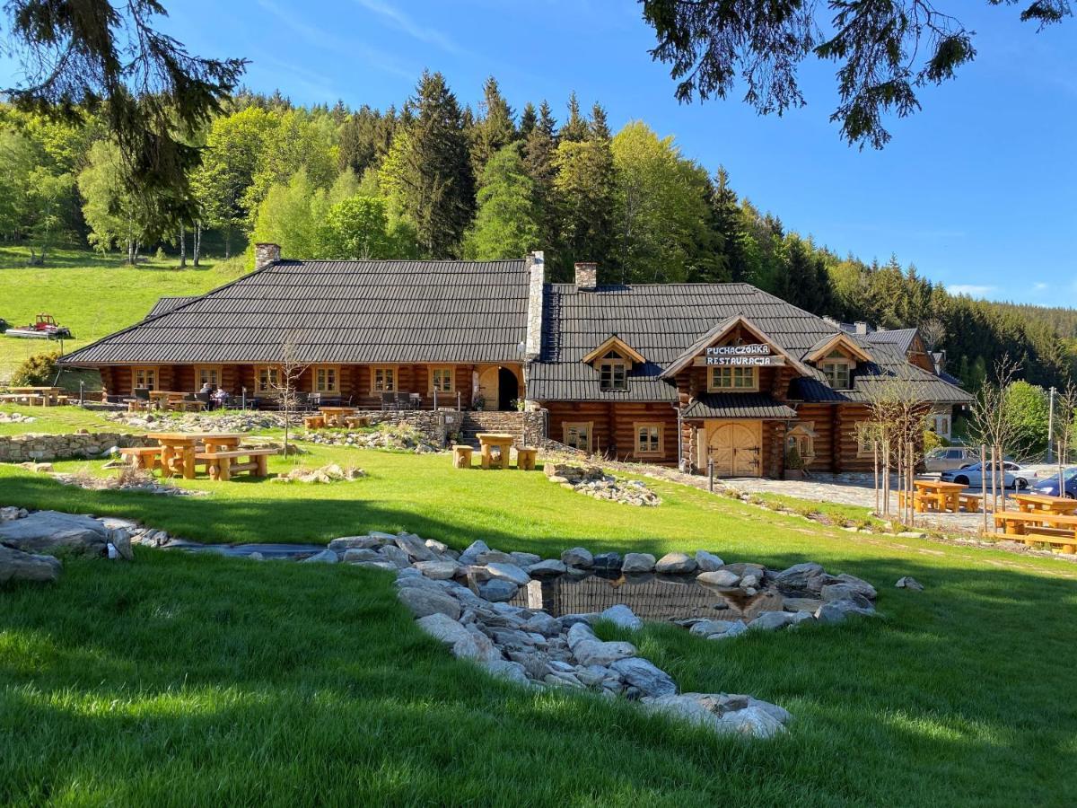 Villa Dom Puchacza W Ladku-Zdroju Lądek-Zdrój Exterior foto